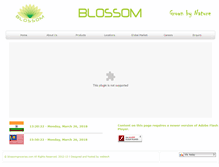 Tablet Screenshot of blossomgroceries.com